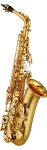 YAS-82Z Yamaha Custom Z Alto Sax Outfit