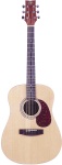 J.B. Player JB20 JB dreadnaught Guitar