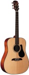 RD210 Alvarez Dnought Select Guitar