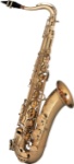 74F Reference 54 Tenor Saxophone Outfit . Selmer Paris