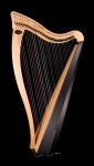 RAVENNA34 String Harp w/Case and stand (34 strings) . Dusty Strings