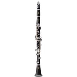 BC2512F20 E12F Bb Clarinet Outfit (France Series) . Buffet