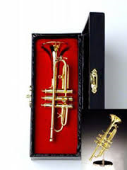 Aim 27807 Mini Trumpet w/Case (5")
