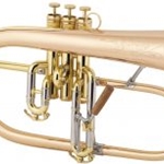 1FG "Vintage One" Flugelhorn Outfit . Conn