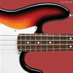 Bass Method v.2 . Bass Guitar . Friedland