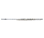 AF900-BO Amadeus Sliver Flute Outfit