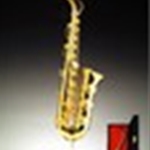 400006 Miniature Alto Saxophone w/Case . Music Treasures