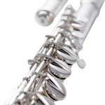 AF670-C Alto Flute Outfit (curved headjoint) . Haynes