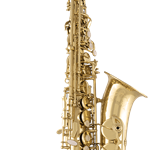 SAS711 Professional Alto Saxophone Outfit . Selmer