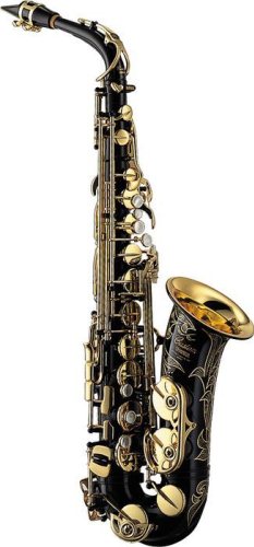 Cadence Music in Florida - YAS-82ZIIB Custom Z Alto Saxophone
