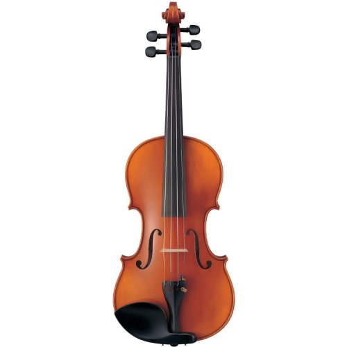 Cadence Music in Florida - AV10-44SG Braviol Violin Outfit