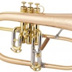 1FG "Vintage One" Flugelhorn Outfit . Conn