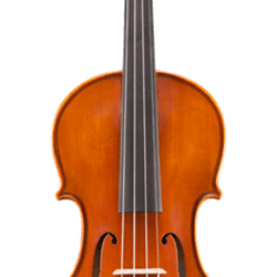 VL20044SBC Andreas Violin Outfit (4/4) . Eastman