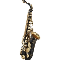 YAS-875EXIIB Custom EX Alto Saxophone Outfit (black lacqured) . Yamaha