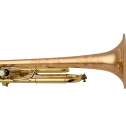 LR19043B Stradivarius Mariachi Series Bb Trumpet Outfit . Bach