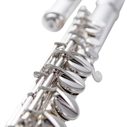 AF670-C Alto Flute Outfit (curved headjoint) . Haynes