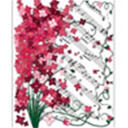 51852 Floral Note Cards (red, 8 count) . Aim