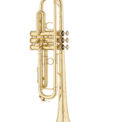 TRCVLA-L Custom Series Bb Trumpet Outfit (.462 bore, lacquered) . Shires