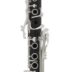 B16PR2 Privilege Bb Clarinet Outfit . Selmer Paris