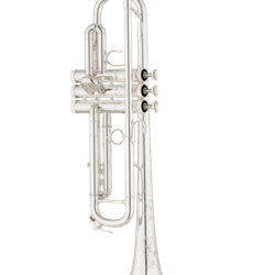 TRBLW BLW Bb Trumpet Outfit . Shires