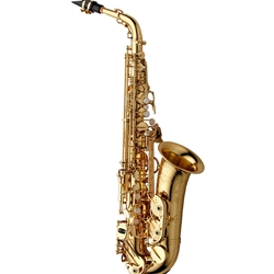 AWO10 Elite Alto Saxophone Outfit . Yanagisawa