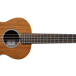 Cordoba  20TM Tenor Ukulele . Cordoba