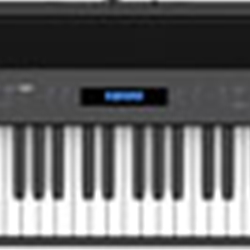 FP-60X-BK FP60X Digital Piano (88 key weighted) . Roland