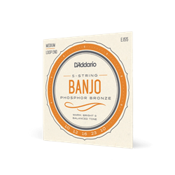 EJ55 Bonjo String Set (5 string, phosphor bronze) . D'Addario