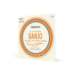 EJ61 Banjo String Set (5 string, nickel-plated) . D'Addario